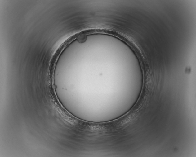 X0000115440927200911181520