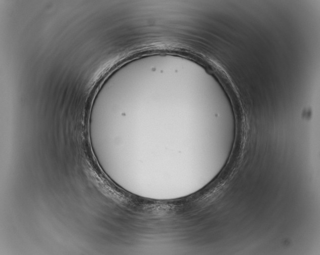 X0000115440930200911181520