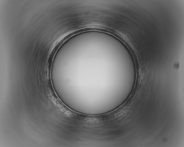 X0000115440931200911181520