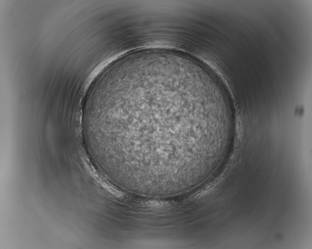 X0000115440933200911181520