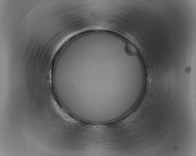 X0000115440934200911181520