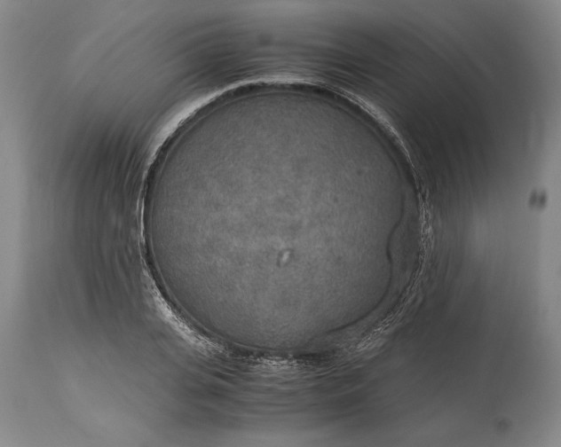 X0000115440935200911181520