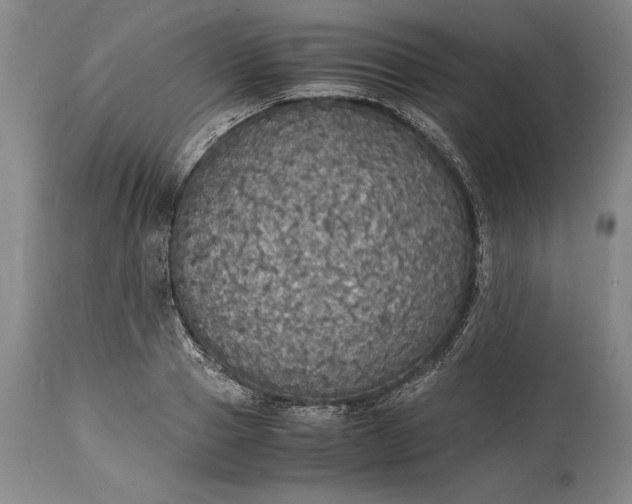 X0000115440937200911181520