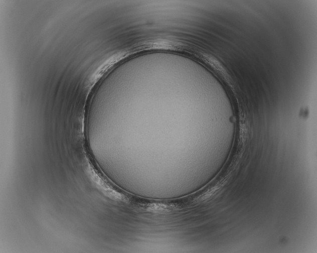 X0000115440938200911181520