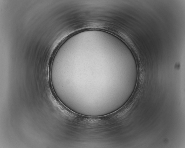 X0000115440939200911181520