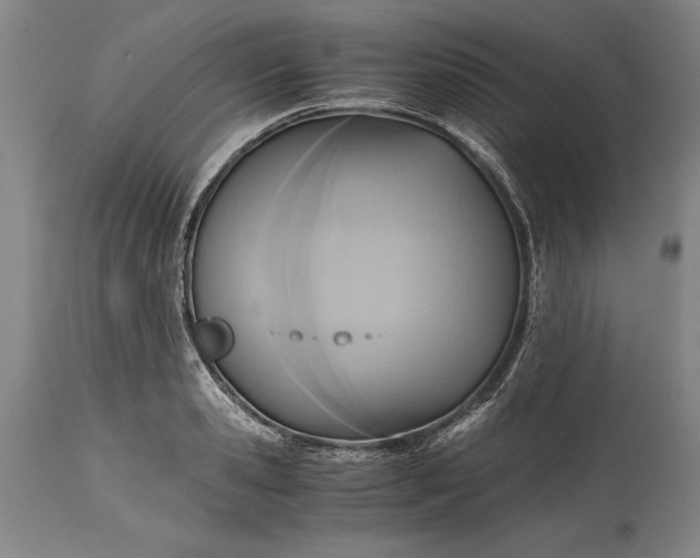 X0000115440941200911181520