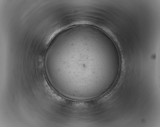 X0000115440945200911181520