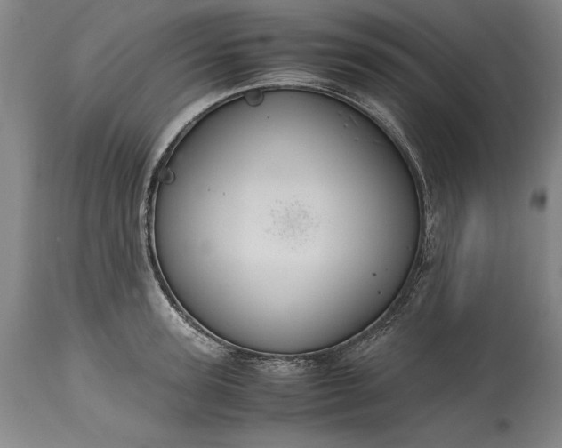 X0000115440947200911181520