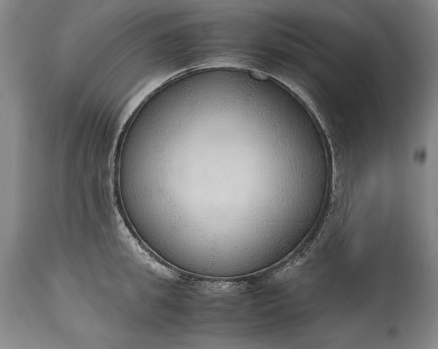 X0000115440949200911181520