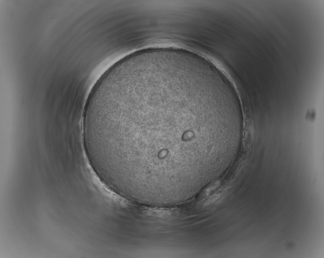 X0000115440951200911181520