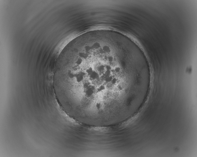 X0000115440953200911181520