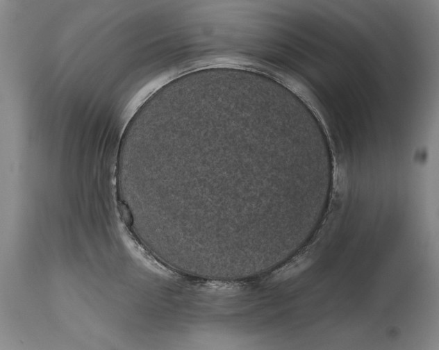 X0000115440954200911181520