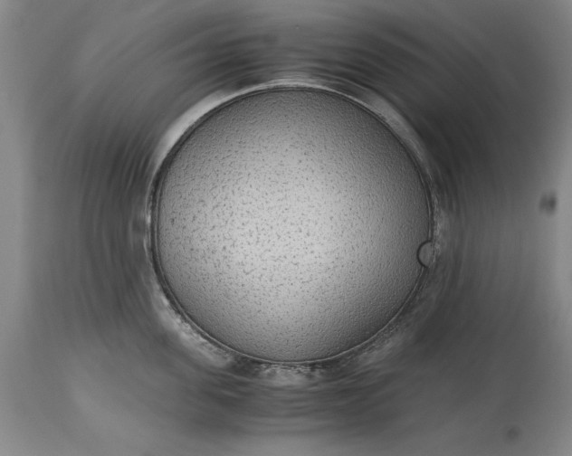 X0000115440955200911181520