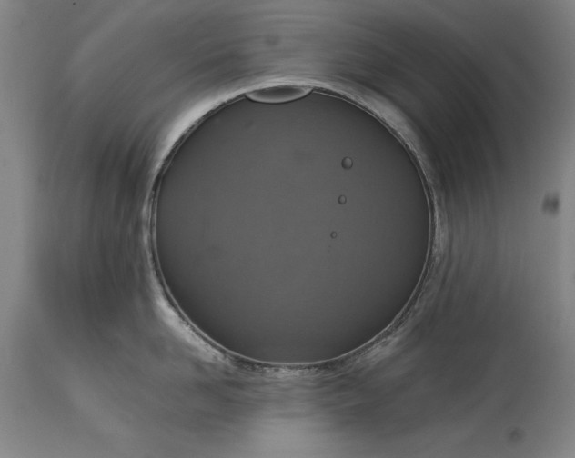 X0000115440958200911181520