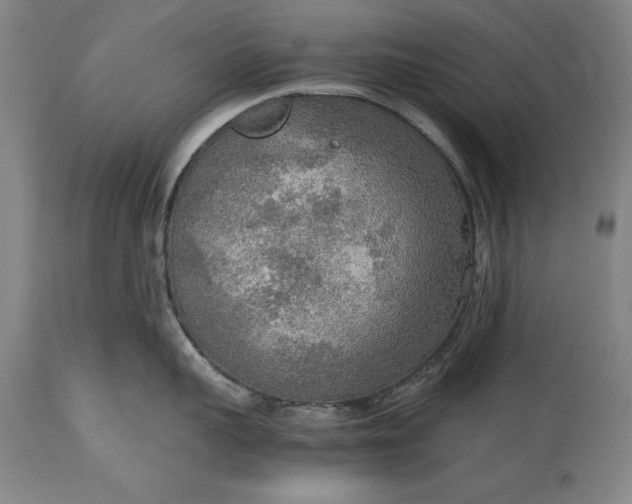 X0000115440959200911181520