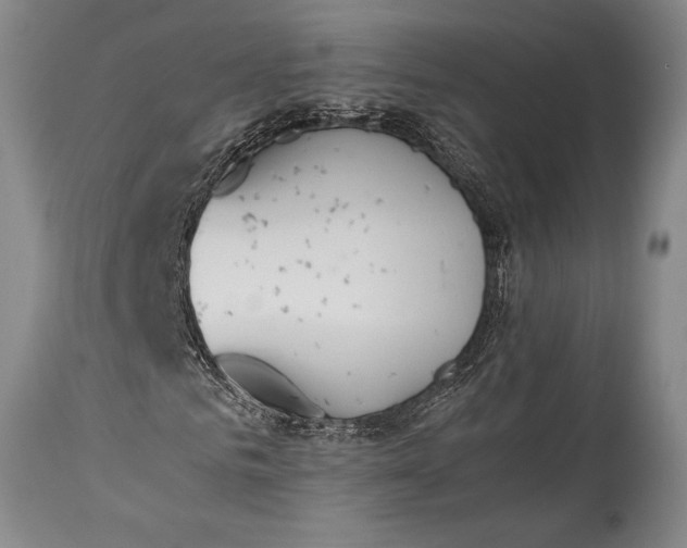 X0000115440961200911181520