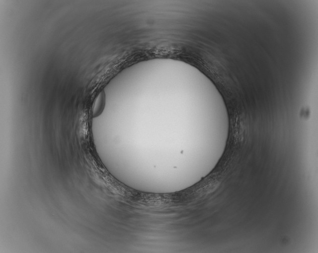 X0000115440962200911181520