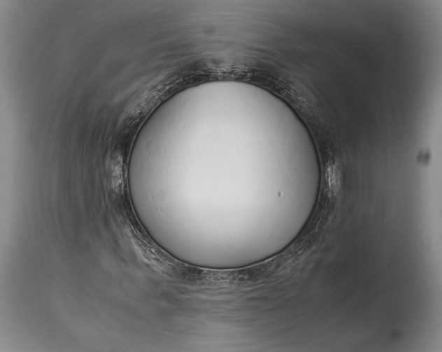 X0000115440963200911181520