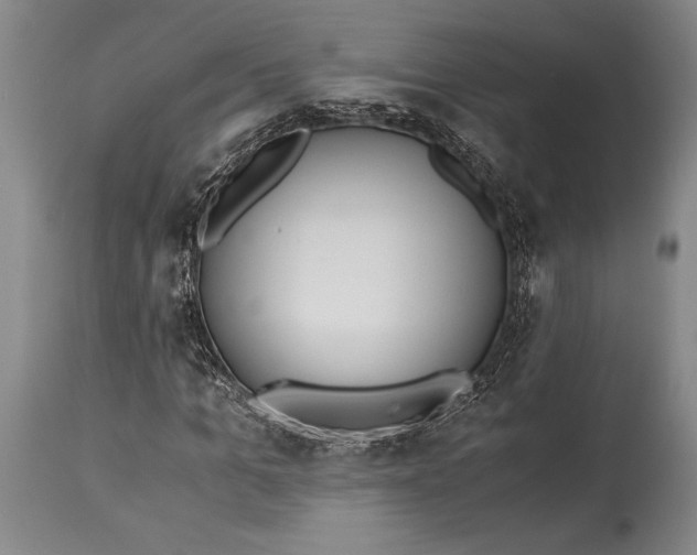 X0000115440965200911181520