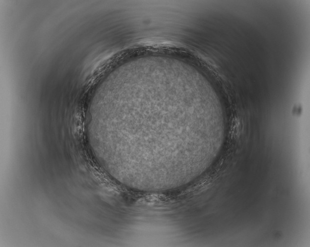 X0000115440966200911181519