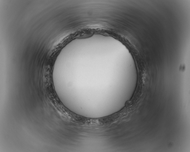 X0000115440968200911181519