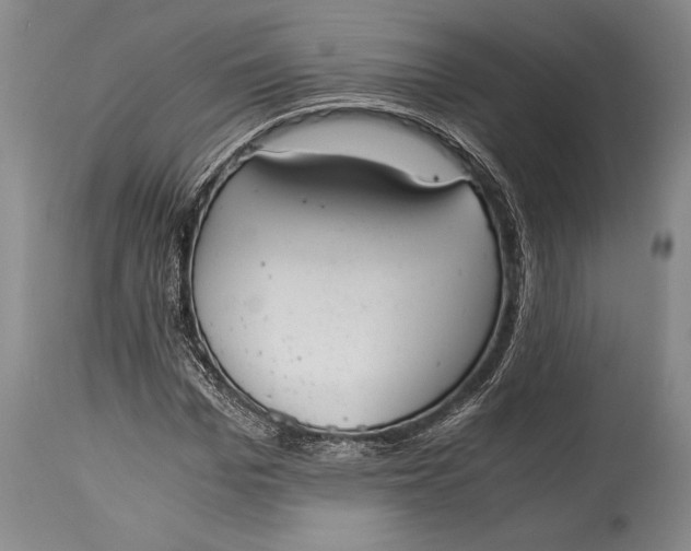 X0000115440969200911181519