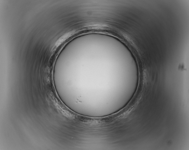 X0000115440970200911181519