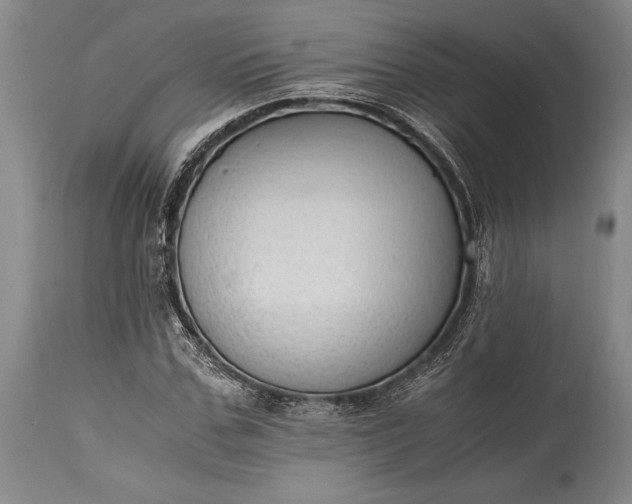 X0000115440971200911181519