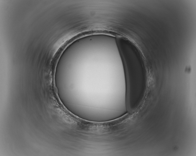 X0000115440973200911181519