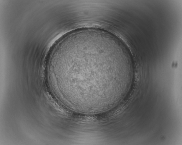 X0000115440975200911181519