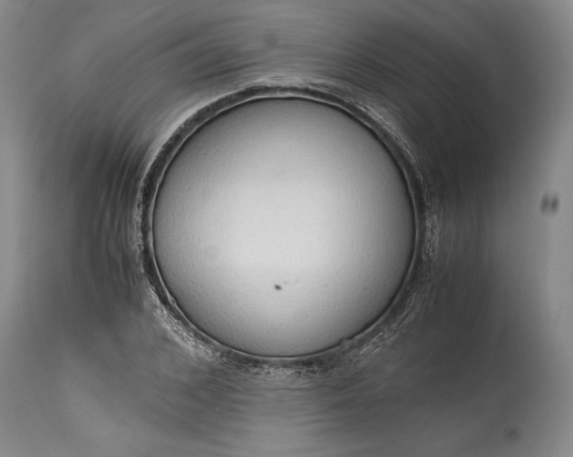 X0000115440976200911181519