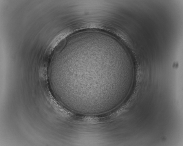 X0000115440977200911181519