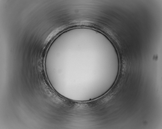 X0000115440978200911181519