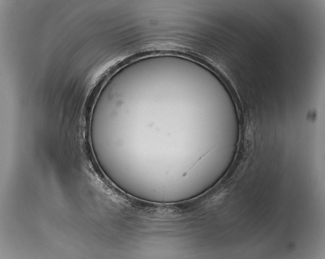 X0000115440979200911181519
