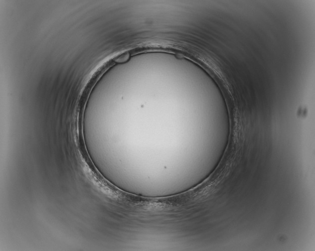 X0000115440984200911181519