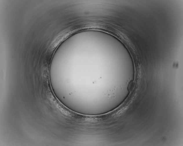 X0000115440985200911181519