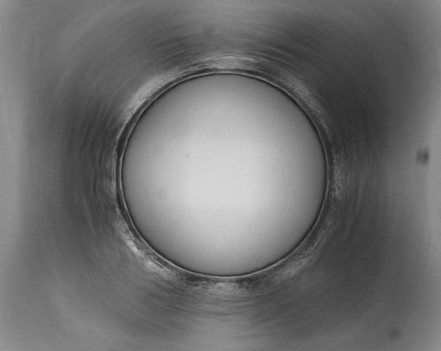 X0000115440986200911181519