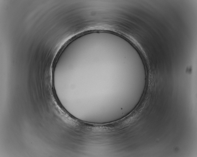 X0000115440988200911181519