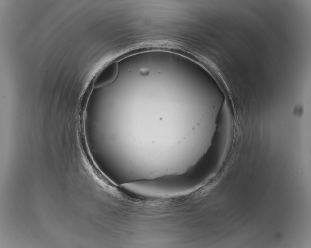 X0000115440989200911181519