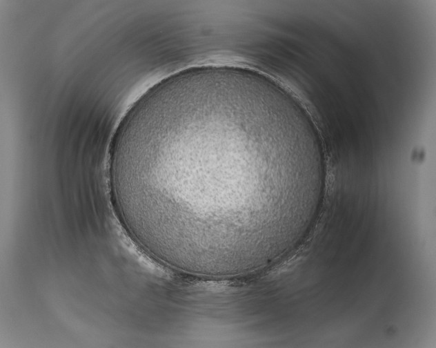 X0000115440990200911181519