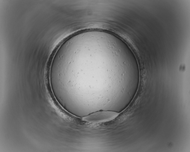 X0000115440991200911181519