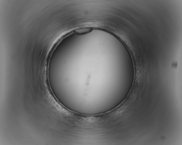 X0000115440992200911181519