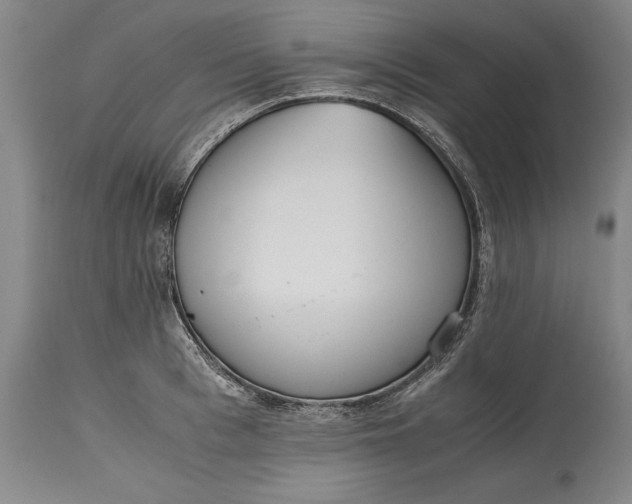 X0000115440993200911181519