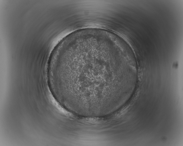 X0000115440995200911181519