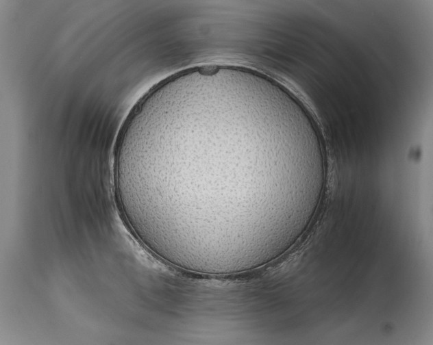 X0000115440996200911181519