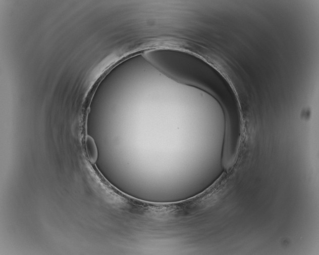 X0000115440997200911181519