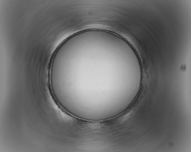 X0000115440999200911181519