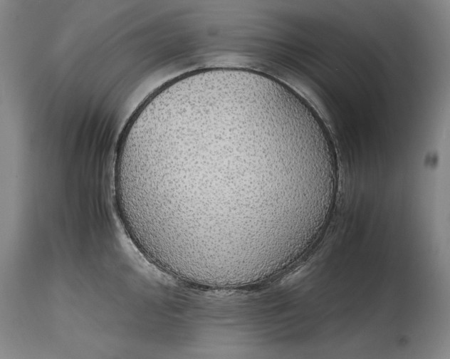 X0000115441000200911181519