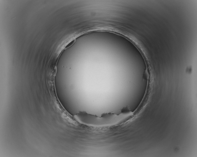 X0000115441001200911181519