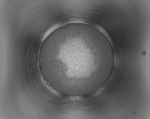 X0000115441002200911181519